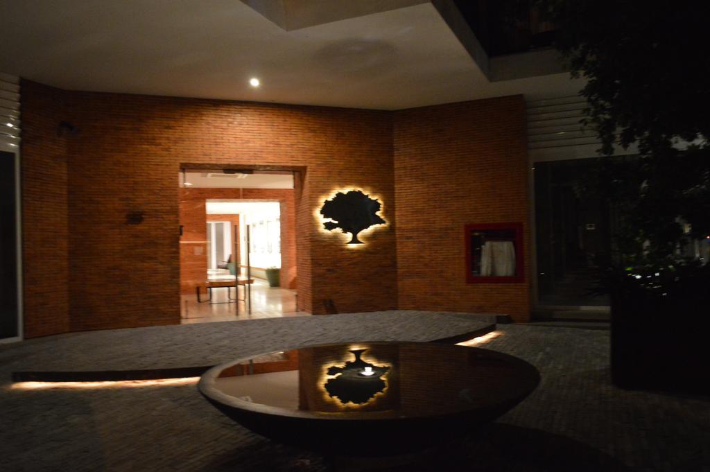 The Park 203 Vallarta Zona Romantica Puerto Vallarta Exterior foto